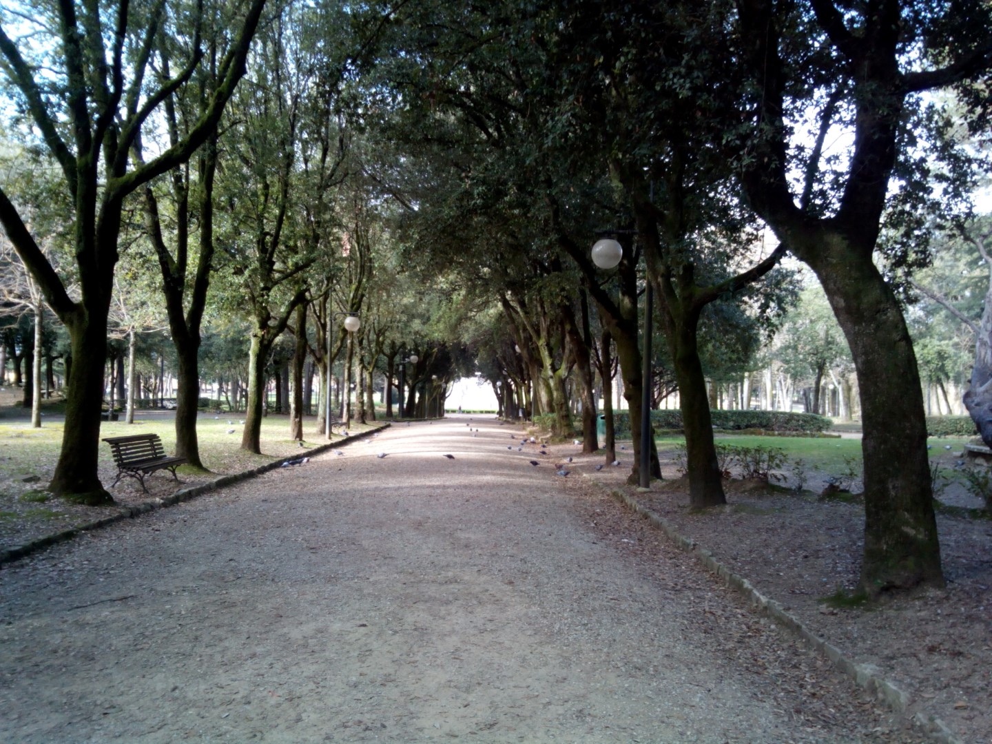 Passeggiata in centro ad Arezzo Foto del viale del parco Il Prato